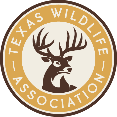 Texas Big Game Awards Celebration - August 15 La Grange - logo